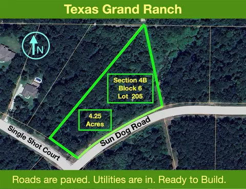 4 6-205 Single Shot Ct # B, Huntsville, TX 77340