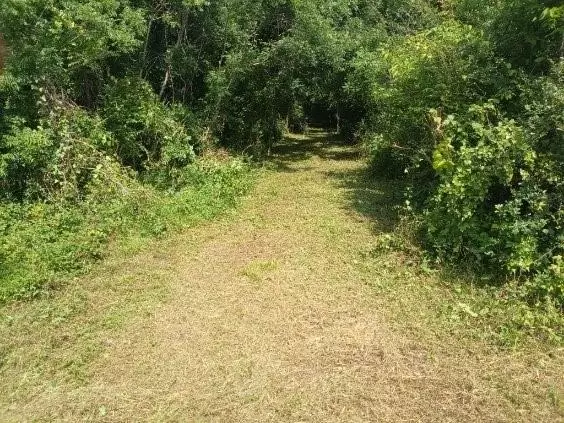  3979 Felder Rd, Washington, TX 77880 photo 8