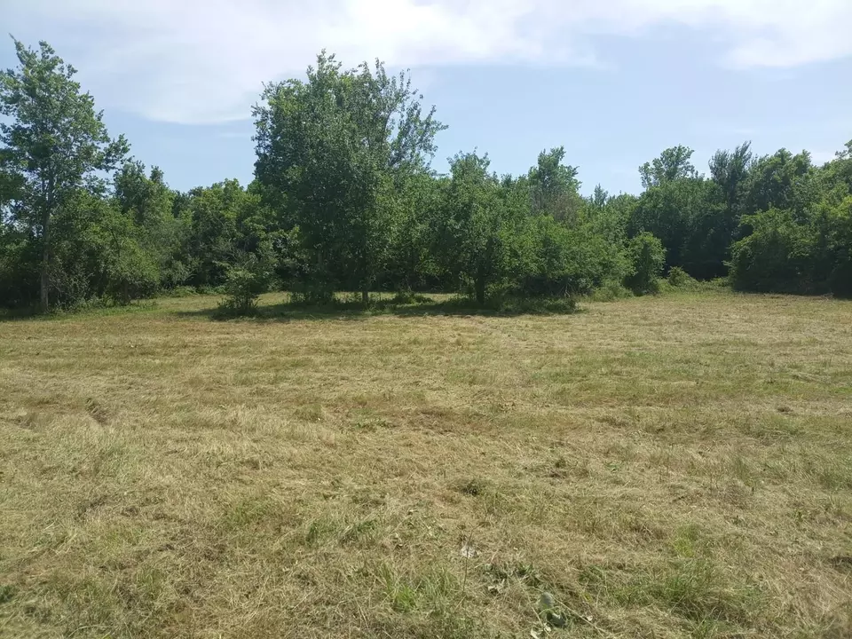  3979 Felder Rd, Washington, TX 77880 photo 5