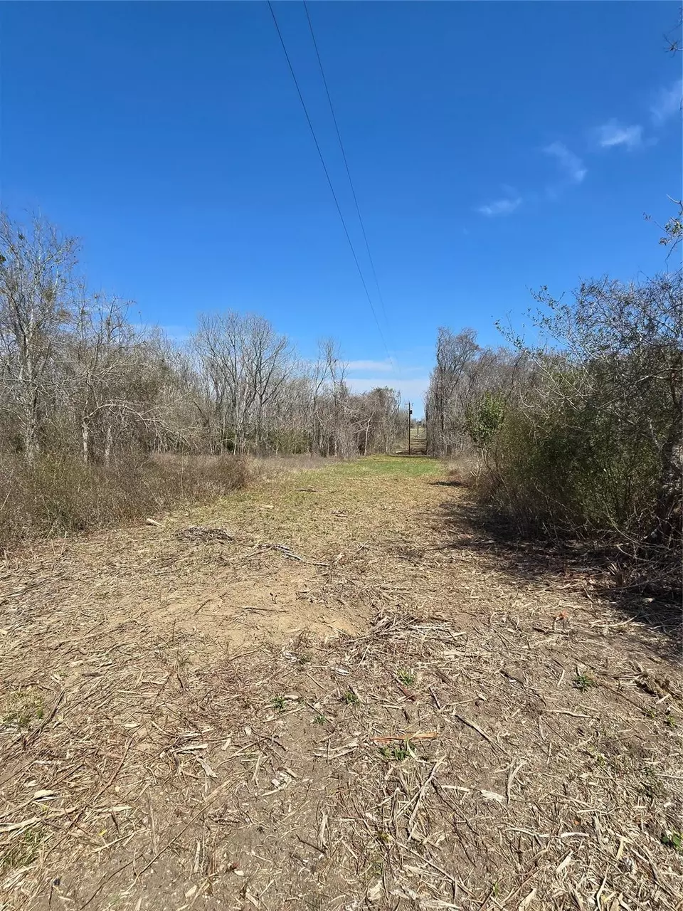  3979 Felder Rd, Washington, TX 77880 photo 11