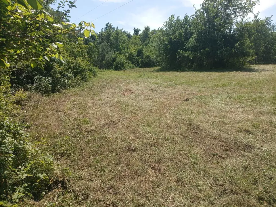  3979 Felder Rd, Washington, TX 77880 photo 4