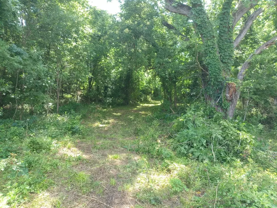  3979 Felder Rd, Washington, TX 77880 photo 3