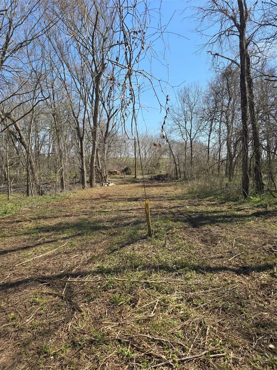  3979 Felder Rd, Washington, TX 77880 photo 10