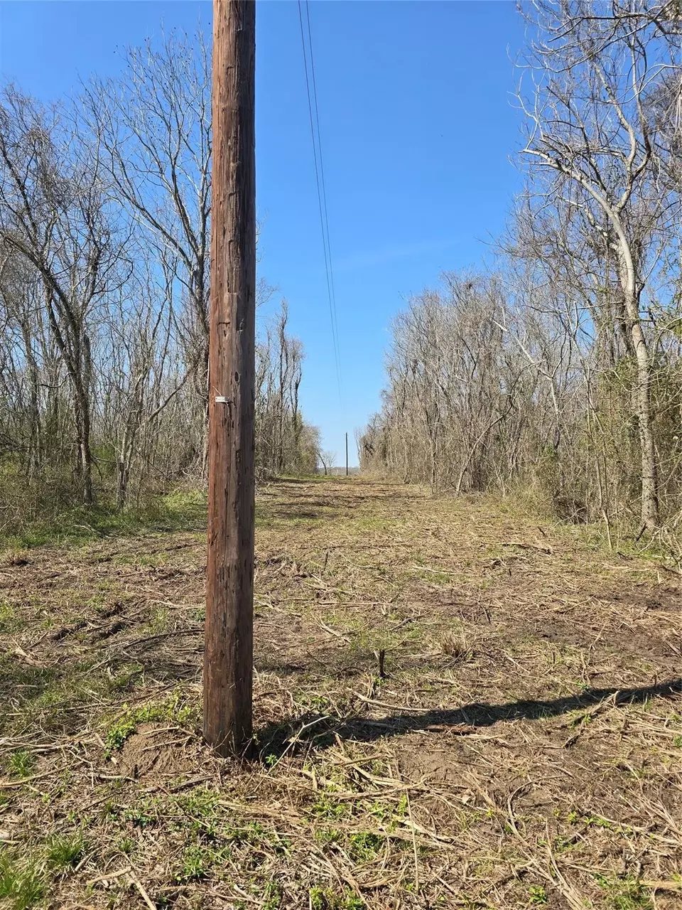  3979 Felder Rd, Washington, TX 77880 photo 13