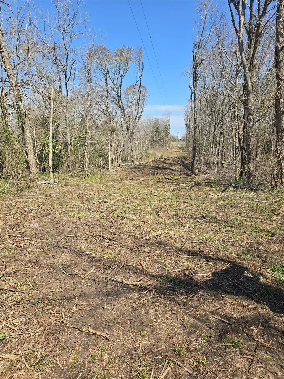  3979 Felder Rd, Washington, TX 77880 photo 14