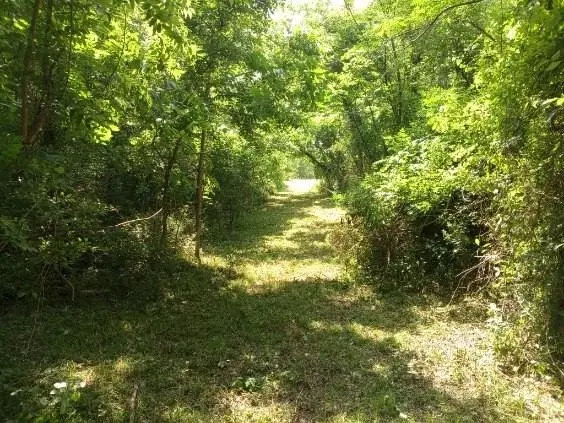  3979 Felder Rd, Washington, TX 77880 photo 2