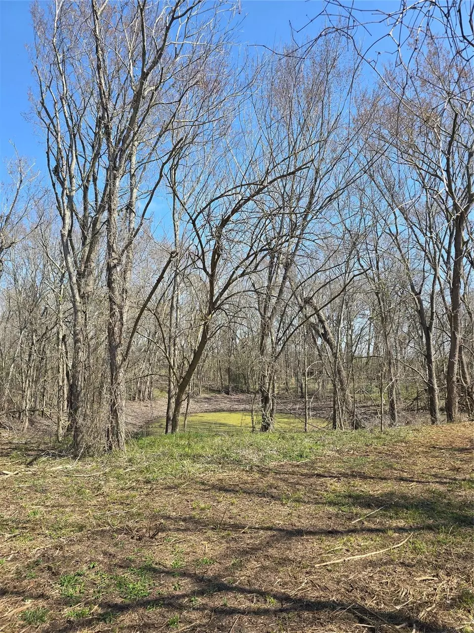  3979 Felder Rd, Washington, TX 77880 photo 9