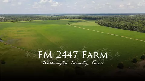 00 Fm 2447, Chappell Hill, TX 77426