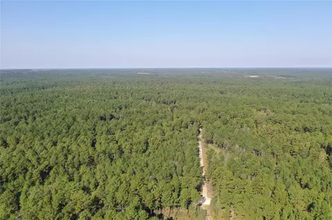 Tract 2 Trinitylady Park Road, Trinity, TX 75862