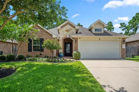 14026 S Wind Cave Ct, Conroe, TX 77384 photo 1