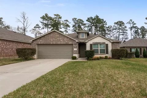 175 Courageous Side Way, Magnolia, TX 77354