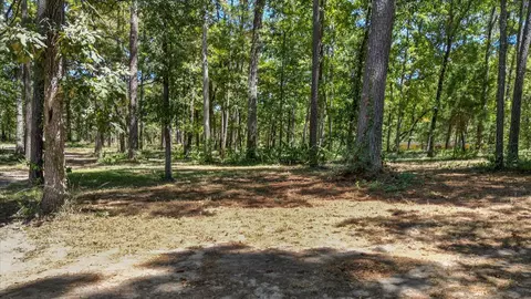 Other - 188 Camp Rd, Trinity, TX 75862 photo 6 of 8