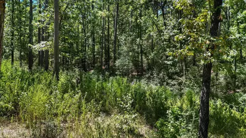 Exterior - 188 Camp Rd, Trinity, TX 75862 photo 9 of 10