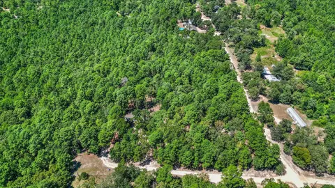View/Area - 188 Camp Rd, Trinity, TX 75862 photo 1 of 2