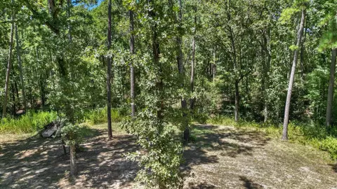 Exterior - 188 Camp Rd, Trinity, TX 75862 photo 7 of 10