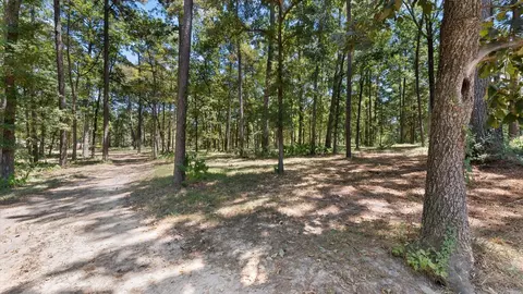 Other - 188 Camp Rd, Trinity, TX 75862 photo 4 of 8