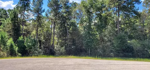 N/a Cougar Court, Huntsville, TX 77340