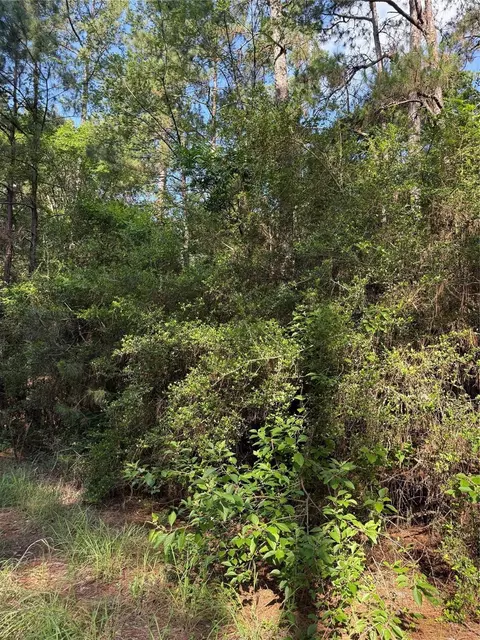 tbd Timberwood Ln, Navasota, TX 77868