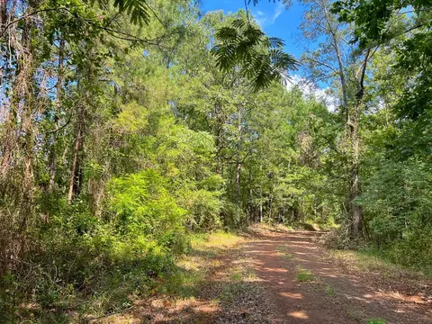6 Off Highway 21, Geneva, TX 75959