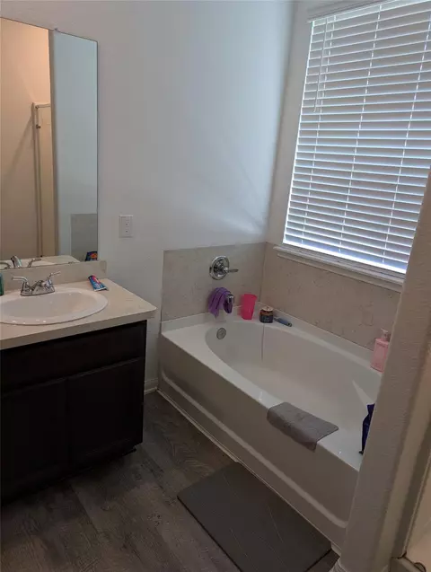 Bath - 14601 E Pine Heart Dr, Conroe, TX 77302 photo 3 of 3