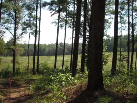 011 Fm 256 N, Woodville, TX 75979