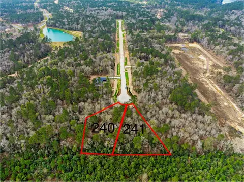 240 Hollow Hill Rd, New Waverly, TX 77358