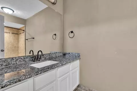 Bath - 23915 Spring Oak Dr, Spring, TX 77373 photo 4 of 4