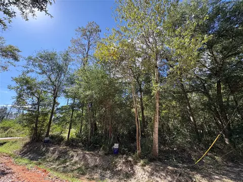 lot244 Mehringer Rd, Shepherd, TX 77371