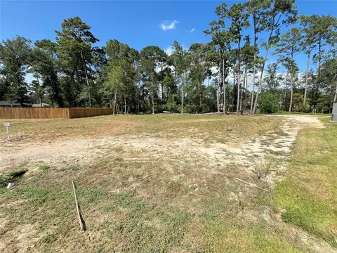 818 Scribe St, New Caney, TX 77357 photo 3