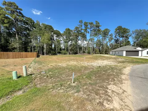 818 Scribe St, New Caney, TX 77357 photo 2