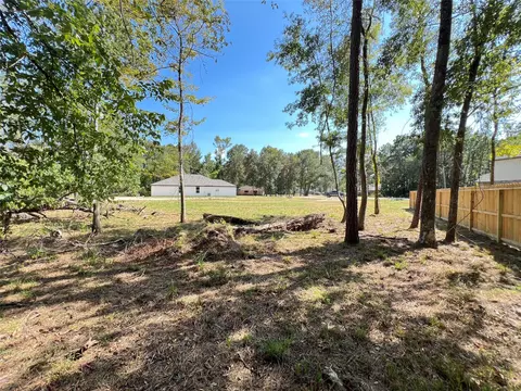 818 Scribe St, New Caney, TX 77357 photo 5