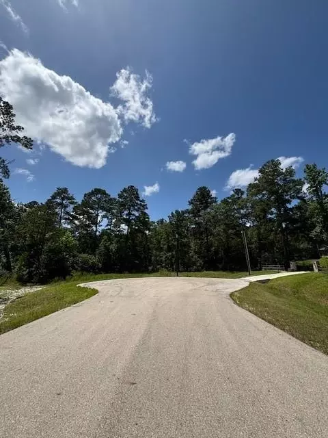 207 Sandpiper Dr, New Waverly, TX 77358