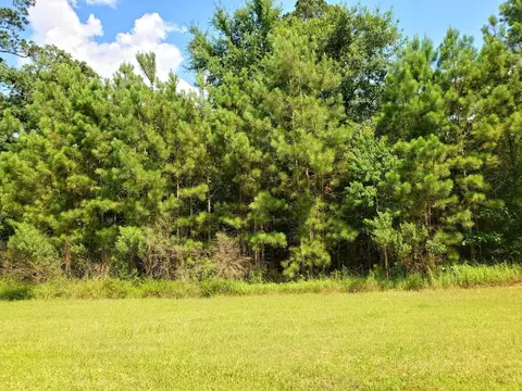 73 Kings Lake Estates Blvd, Humble, TX 77346