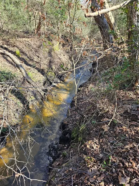 Tr 75 Pr 1318, Centerville, TX 75833 photo 9