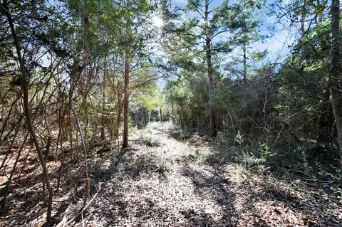 Tr 75 Pr 1318, Centerville, TX 75833 photo 7