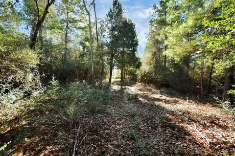 Tr 75 Pr 1318, Centerville, TX 75833 photo 15