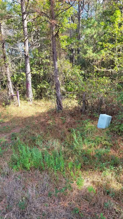 0 Hindo, Conroe, TX 77303 photo 5