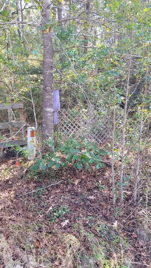 0 Hindo, Conroe, TX 77303 photo 6