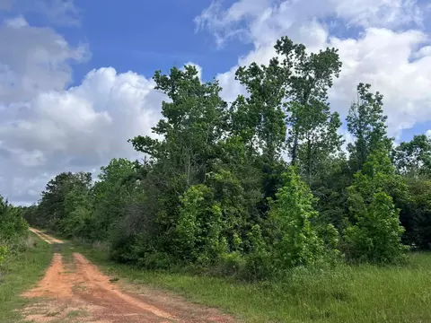 000 County Road 2041, Newton, TX 75966