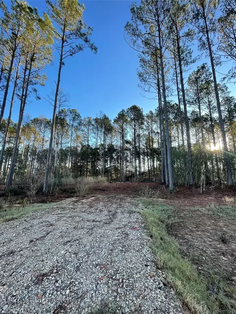 11356 Annie Creek Dr, Willis, TX 77378