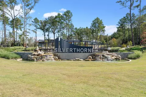 View/Area - 946 Sutherland Falls St, Conroe, TX 77303 photo 5 of 5