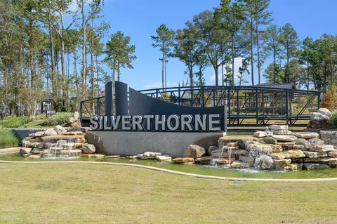 View/Area - 946 Sutherland Falls St, Conroe, TX 77303 photo 4 of 5