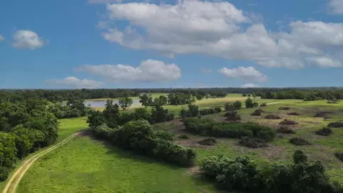 tbd Holle Ln, Washington, TX 77880