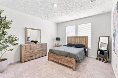 Bedroom - 25415 Alpine Switchback Dr, Spring, TX 77373 photo 1 of 4