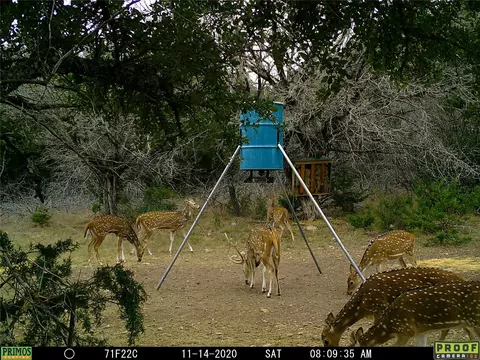 Other - 211 Ringtail Rd, Junction, TX 76849 photo 11 of 14