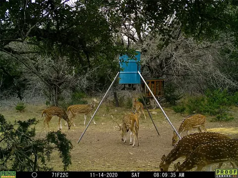 Other - 211 Ringtail Rd, Junction, TX 76849 photo 2 of 7