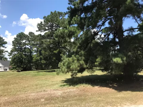 12 Cedar Spgs, Trinity, TX 75862 photo 3