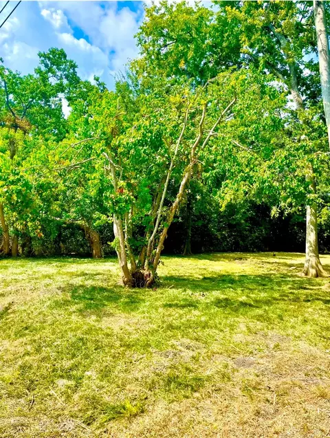 3415 Hewrick St, Houston, TX 77020