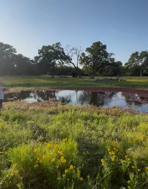 4 Acres County Road 190 Rd, Anderson, TX 77830