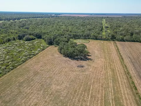 Other - 16631 Baker Cr 522 Rd, Guy, TX 77444 photo 7 of 8